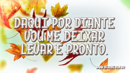 Daqui por diante vou me deixar levar e pronto.