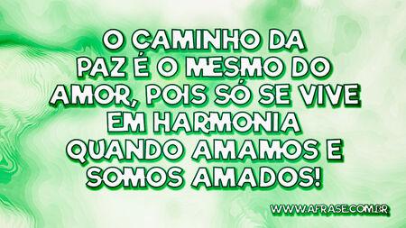 O caminho da paz é o mesmo do amor, pois só se vive em harmonia quando amamos e somos amados!