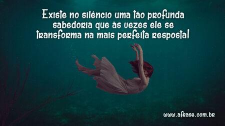 Existe no silêncio uma tão profunda sabedoria que às vezes ele se transforma na mais perfeita resposta!