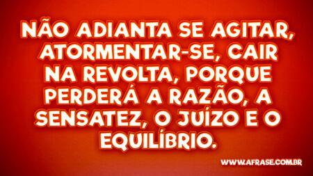 Não adianta se agitar, atormentar-se, cair na revolta, porque perderá a razão, a sensatez, o juízo e o equilíbrio.