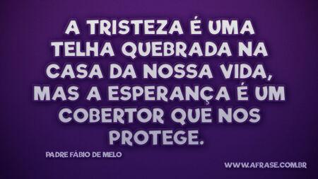A TRISTEZA é uma telha quebrada na casa da nossa vida, mas a ESPERANÇA é um cobertor que nos protege. 
