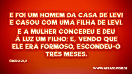 E foi um homem da casa de Levi e casou com uma filha de Levi.
E a mulher concebeu e deu à luz um filho; e, vendo que ele era formoso, escondeu-o três meses.

Êxodo 2:1,2