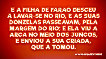 E a filha de Faraó desceu a lavar-se no rio, e as suas donzelas passeavam, pela margem do rio; e ela viu a arca no meio dos juncos, e enviou a sua criada, que a tomou.