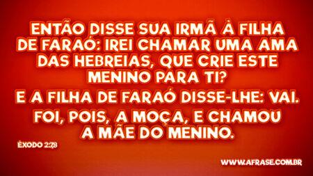 Então disse sua irmã à filha de Faraó: Irei chamar uma ama das hebreias, que crie este menino para ti?
E a filha de Faraó disse-lhe: Vai.
Foi, pois, a moça, e chamou a mãe do menino.

Êxodo 2:7,8