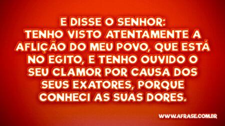 E disse o Senhor: Tenho visto atentamente a aflição do meu povo, que está no Egito, e tenho ouvido o seu clamor por causa dos seus exatores, porque conheci as suas dores.