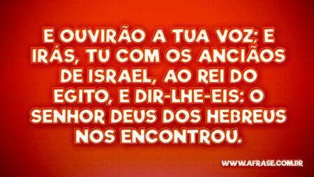 E ouvirão a tua voz; e irás, tu com os anciãos de Israel, ao rei do Egito, e dir-lhe-eis: O Senhor Deus dos hebreus nos encontrou.