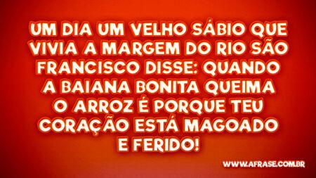 Um dia um velho sábio que vivia a margem do rio São Francisco disse: Quando a baiana bonita queima o arroz é porque teu coração está magoado e ferido!