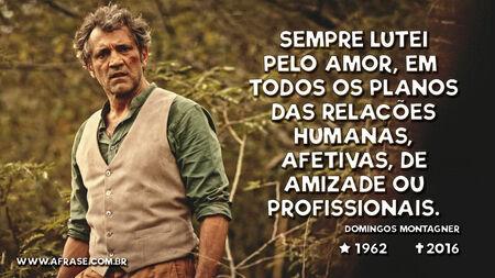 Sempre lutei pelo amor, em todos os planos das relações humanas, afetivas, de amizade ou profissionais.