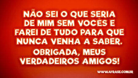 Não sei o que seria de mim sem vocês e farei de tudo para que nunca venha a saber.
Obrigada, meus verdadeiros amigos!
