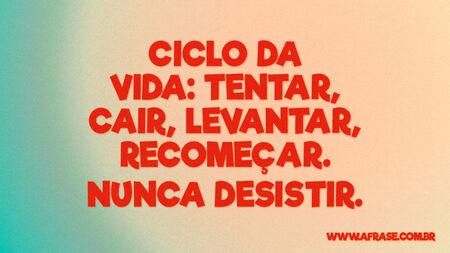 Ciclo da vida: tentar, cair, levantar, recomeçar.
Nunca desistir.