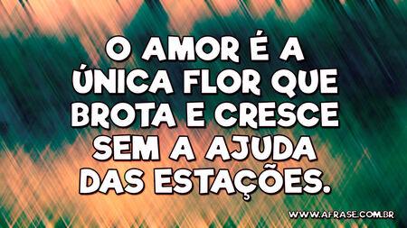 O amor é a única flor que brota e cresce sem a ajuda das estações.