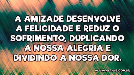 A amizade desenvolve a felicidade e reduz o sofrimento, duplicando a nossa alegria e dividindo a nossa dor.