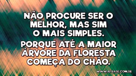Não procure ser o melhor, mas sim o mais simples.
Porque até a maior árvore da floresta começa do chão.
