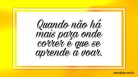 Quando não há mais para onde correr é que se aprende a voar.
