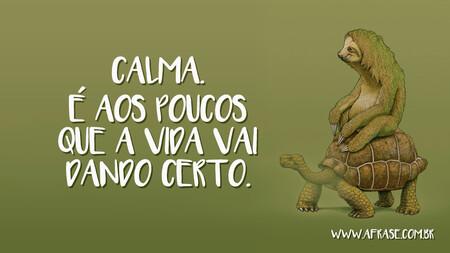 Calma.
É aos poucos que a vida vai dando certo.