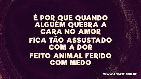 É por que quando alguém quebra a cara no amor
Fica tão assustado com a dor
Feito animal ferido com medo