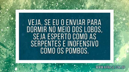 Veja, se eu o enviar para dormir no meio dos lobos, seja esperto como as serpentes e inofensivo como os pombos.