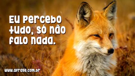 Eu percebo tudo, só não falo nada.