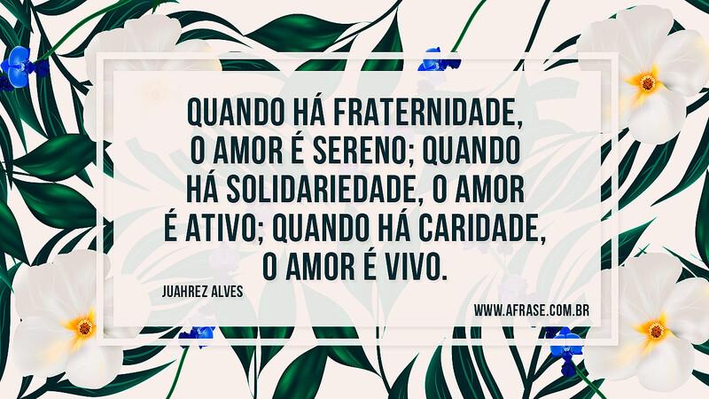 Quando há fraternidade, o amor é sereno; quando há solidariedade, o amor é ativo; quando há caridade, o amor é vivo. - Frases de Amor