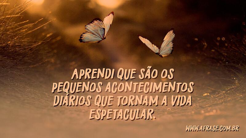 Aprendi que são os pequenos acontecimentos diários que tornam a vida espetacular. - Frases de Vida