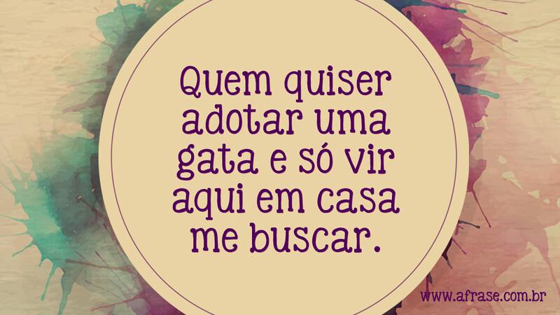 Quem quiser adotar uma gata e só vir aqui em casa me buscar. - Frases de Humor