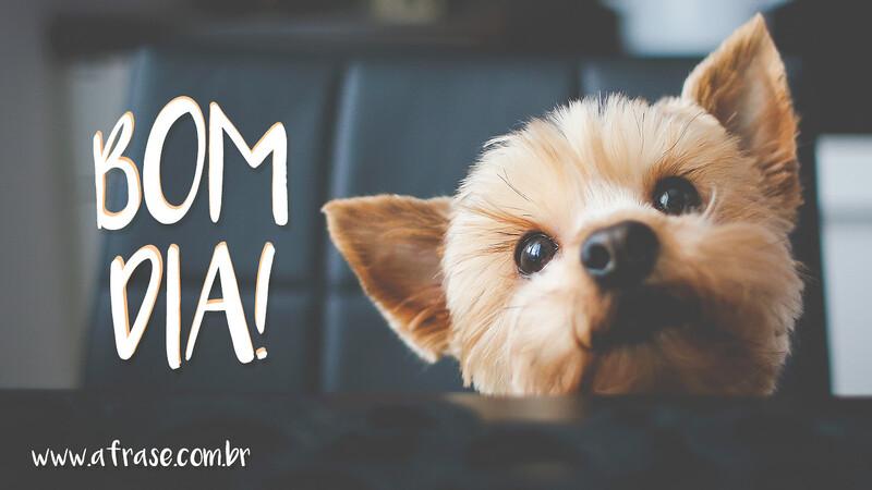 Bom Dia! - Frases de Bom dia - É bom sonhar, mas é melhor sonhar e trabalhar