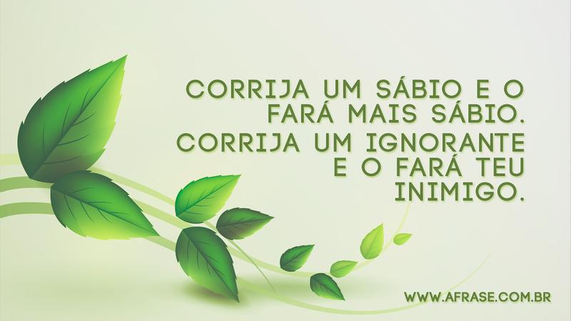 Corrija um sábio e o fará mais sábio. Corrija um ignorante e o fará teu inimigo. - Frases de Reflexão