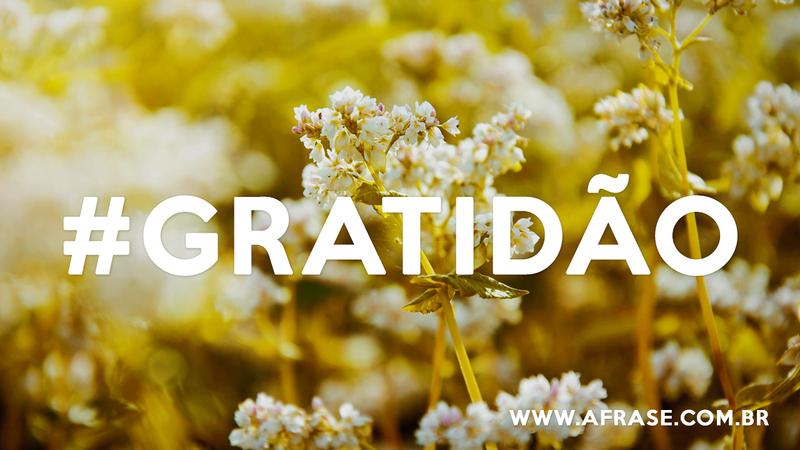 #gratidão - Frases de Gratidão
