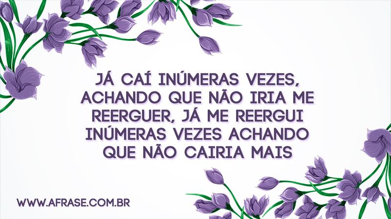 Já caí inúmeras vezes, achando que não iria me reerguer, já me reergui inúmeras vezes achando que não cairia mais. - Frases de Vida