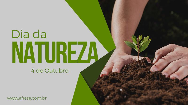 Preservar ou não só depende de você. - Frases do Dia da Natureza