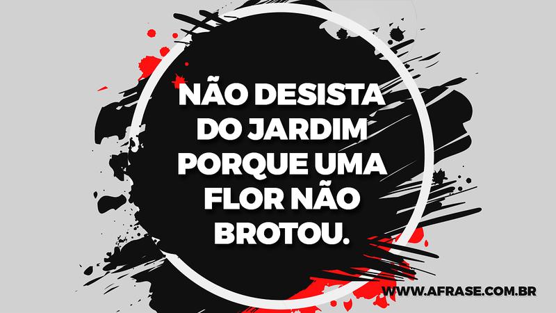 Não desista do jardim porque uma flor não brotou. - Frases de Motivação