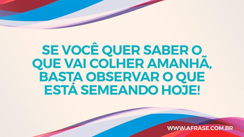 Se você quer saber o que vai colher amanhã, basta observar o que está semeando hoje! - Frases de Reflexão