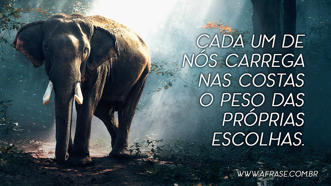 Cada Um Carrega O Peso Das Suas Escolhas