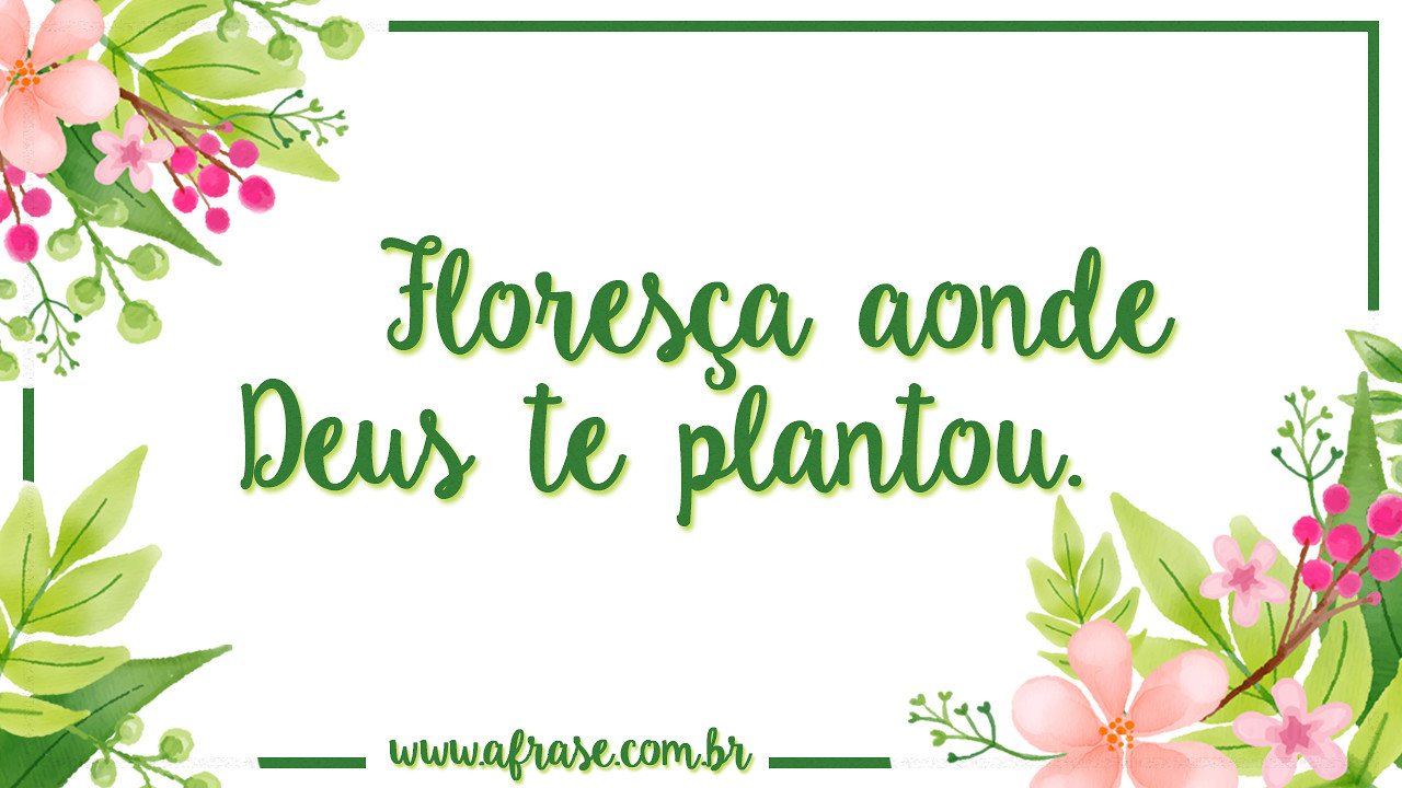 A Frase - Deus te plantou