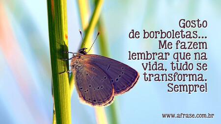 Gosto de borboletas...
Me fazem lembrar que na vida, tudo se transforma.
Sempre!