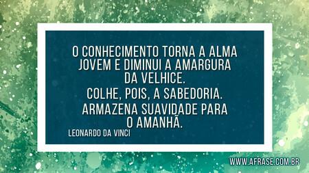 O conhecimento torna a alma jovem e diminui a amargura da velhice.
Colhe, pois, a sabedoria.
Armazena suavidade para o amanhã.