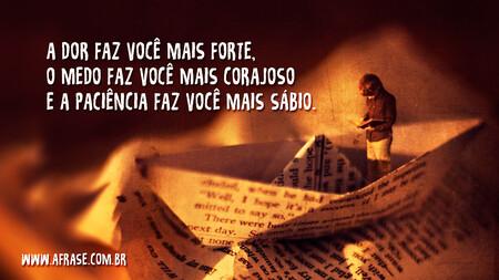 A dor faz você mais forte, o medo faz você mais corajoso e a paciência faz você mais sábio.