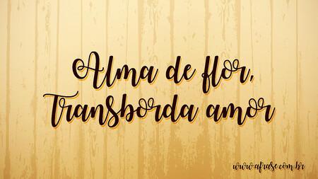 Alma de flor, transborda amor.