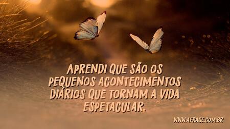 Aprendi que são os pequenos acontecimentos diários que tornam a vida espetacular.