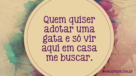 Quem quiser adotar uma gata e só vir aqui em casa me buscar.