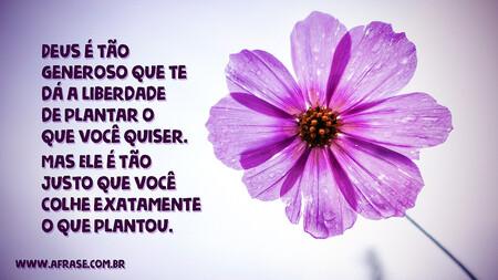 Deus é tão generoso que te dá a liberdade de plantar o que você quiser.
Mas Ele é tão justo que você colhe exatamente o que plantou.