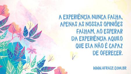 A experiência nunca falha, apenas as nossas opiniões falham, ao esperar da experiência aquilo que ela não é capaz de oferecer.