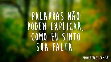 Palavras não podem explicar, como eu sinto sua falta.