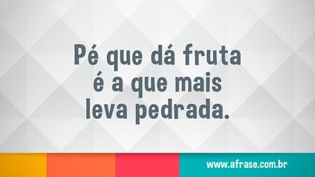 Pé que dá fruta é a que mais leva pedrada.