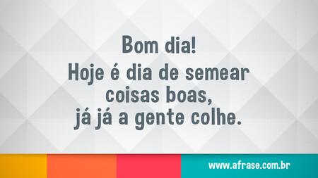 Bom dia!
Hoje é dia de semear coisas boas, já já a gente colhe.