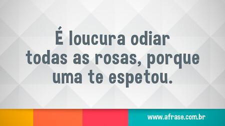 É loucura odiar todas as rosas, porque uma te espetou.