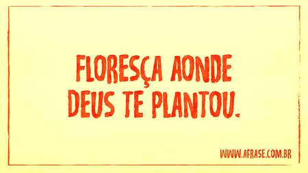 Floresça aonde Deus te plantou.