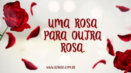 Uma rosa para outra rosa.