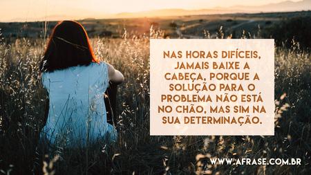 Nas horas difíceis, jamais baixe a cabeça, porque a solução para o problema não está no chão, mas sim na sua determinação.