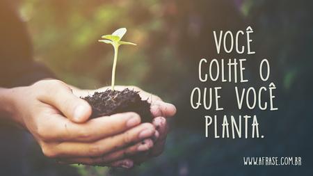 Você colhe o que você planta.